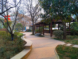 深秋时节的公园风景