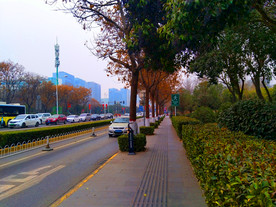 城市道路风景