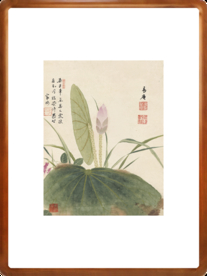 项圣谟花卉荷花