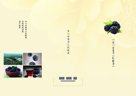 三折页 黑莓说明书 印刷设计