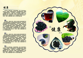 三折页 黑莓说明书  印刷设计