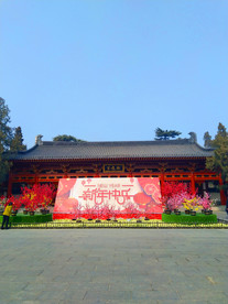 美丽的公园
