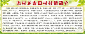 村情简介