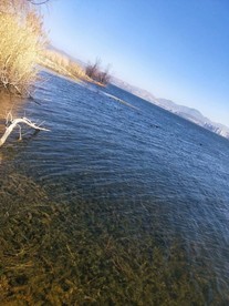 野鸭湖