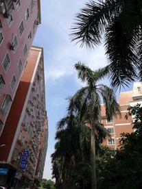 高楼大厦