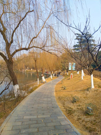 夕阳下的公园风景