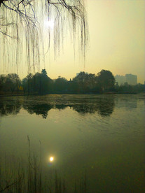 日暮下的公园湖泊风景