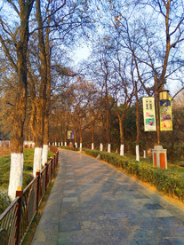 夕阳下的美丽公园
