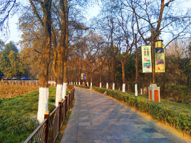 夕阳下的美丽公园
