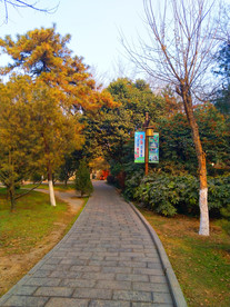 夕阳下美丽的公园风景