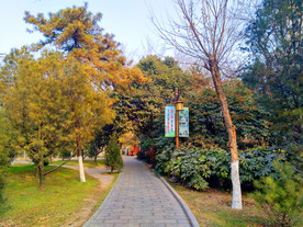 夕阳下的美丽公园