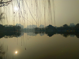 日暮下的公园湖泊风景