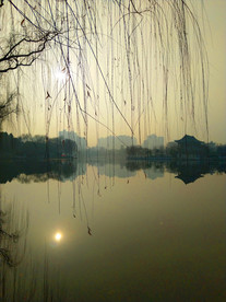 日暮下的公园湖泊风景