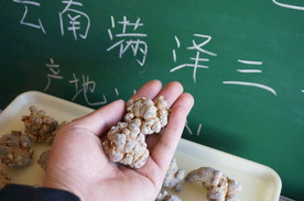 文山满泽三七20头