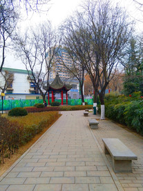 深秋时节的公园