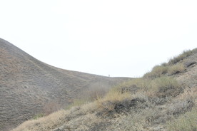 南山
