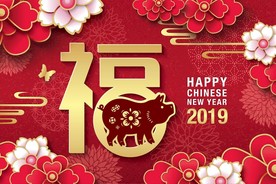 2019红色喜庆猪年新年背景