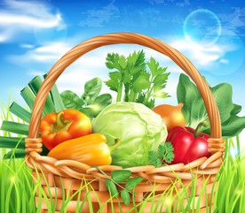 一篮新鲜的蔬菜
