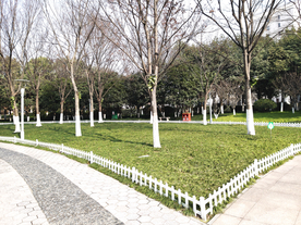 城市绿化