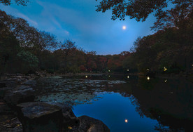 傍晚的公园夜景
