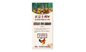 土鸡展架