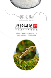 等米熟公益