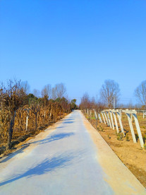 蓝天下的乡村风景
