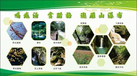 宣传展板