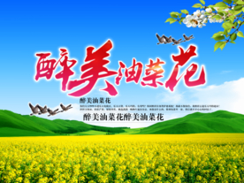 醉美油菜花