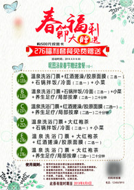 春节福利大赠送海报 展架
