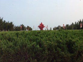 五月的风