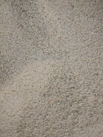 糯米 江米 糯稻脱壳的米