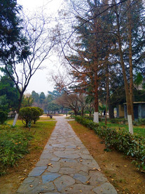 日暮下的校园风景