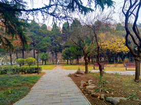 日暮下的校园风景
