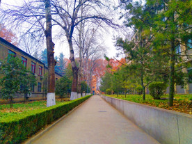 日暮下的校园风景