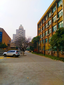 日暮下的校园风景