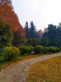 日暮下的校园风景