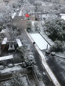 小区雪景