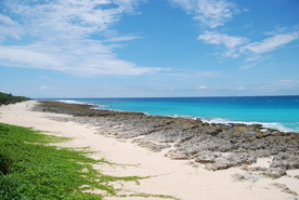 海边 自然 风光 大海 海水