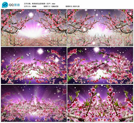 唯美桃花林 舞台舞美背景视频