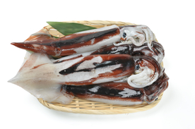 乌贼