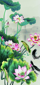 荷花