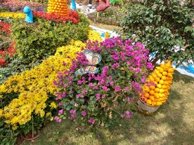 花海