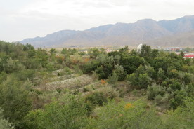 小山坡