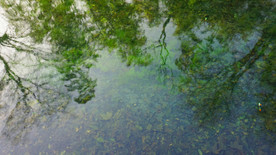 小溪流水