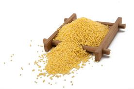 黄小米   摄影图  实物拍摄