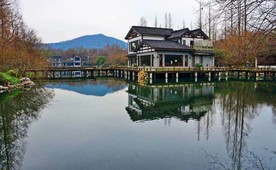 户外风光