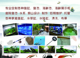 鱼具广告