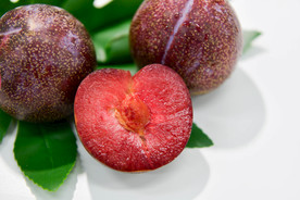 智利进口凤凰李 红心李 脆李