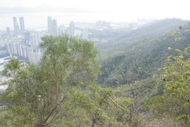 南山公园